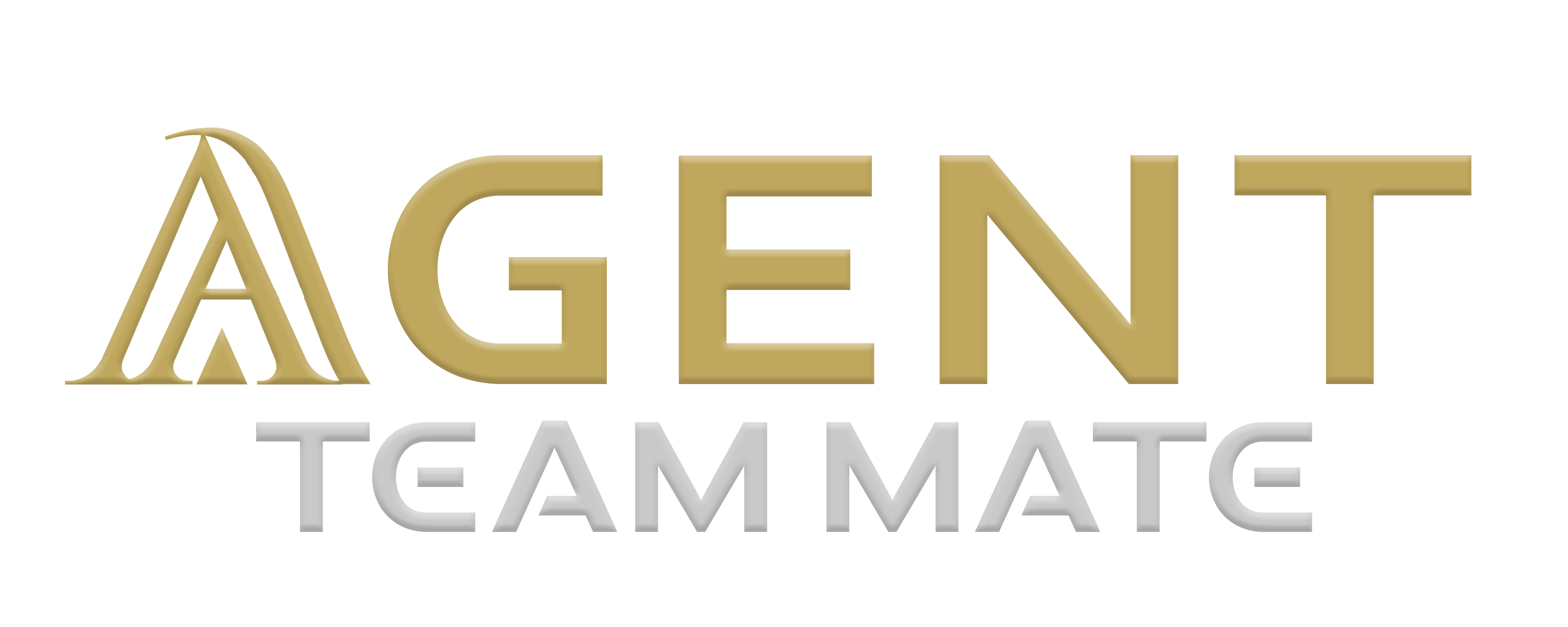 Main Inland Realty Brokerage